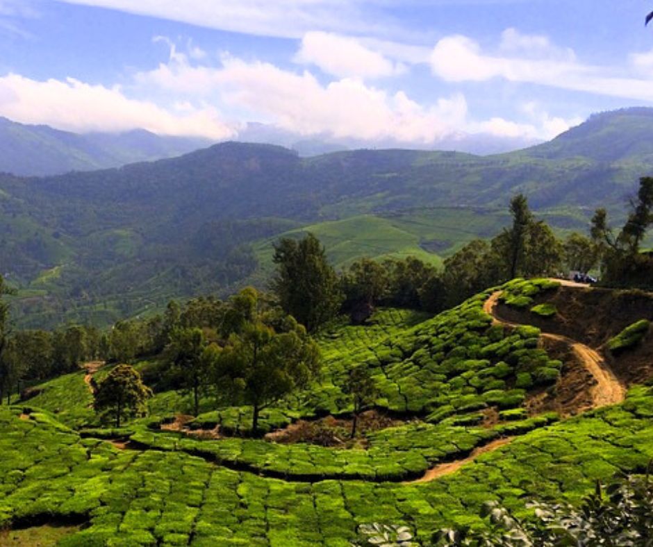 Munnar