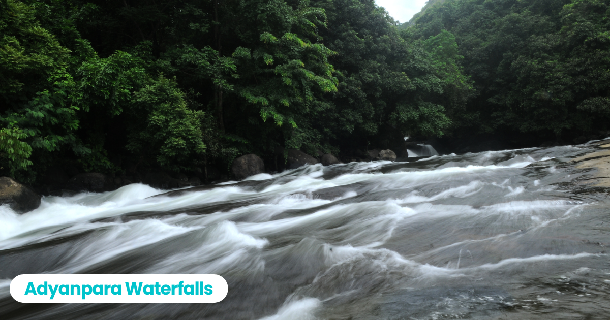 5 Best Waterfalls in Kerala