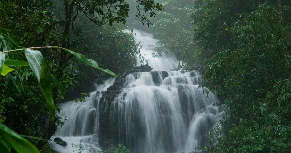 5 BEST WATERFALLS IN KERALA